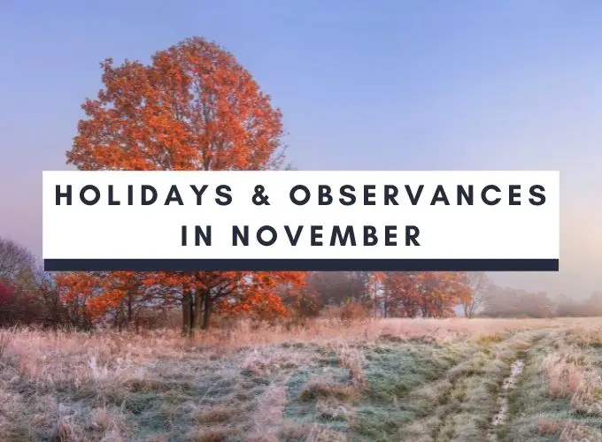 Holidays and observances in November