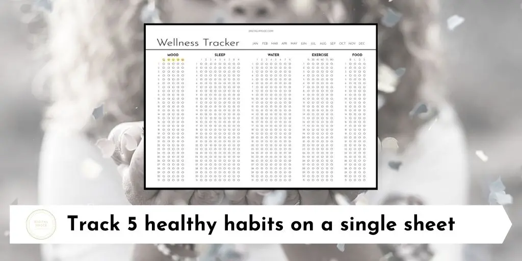 Monthly Wellness Tracker (Mood, Water, Sleep, Exercise, Food)