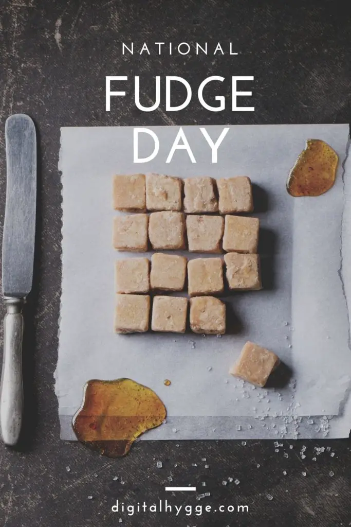 National Fudge Day Pin