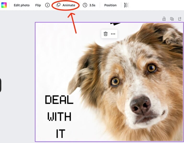 How To Animate An Image In Canva How To Animate An Image In Canva