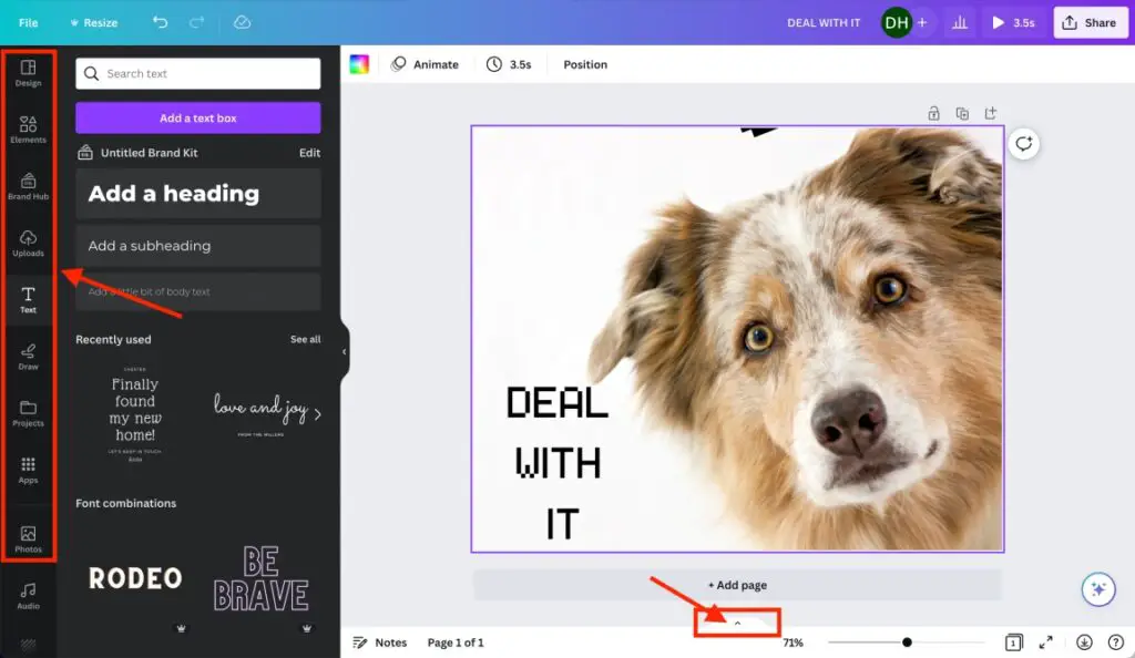 How to Create GIFs in Canva Step-By-Step Guide