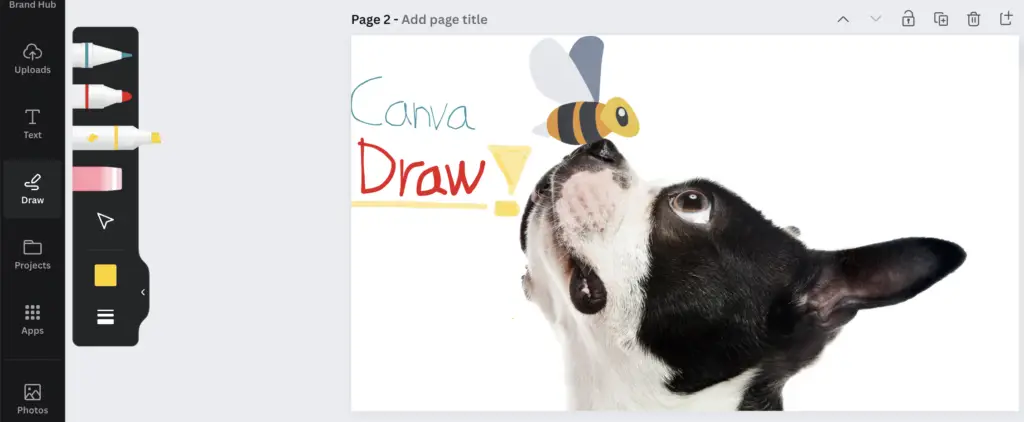 Example of Canva's new Draw feature.