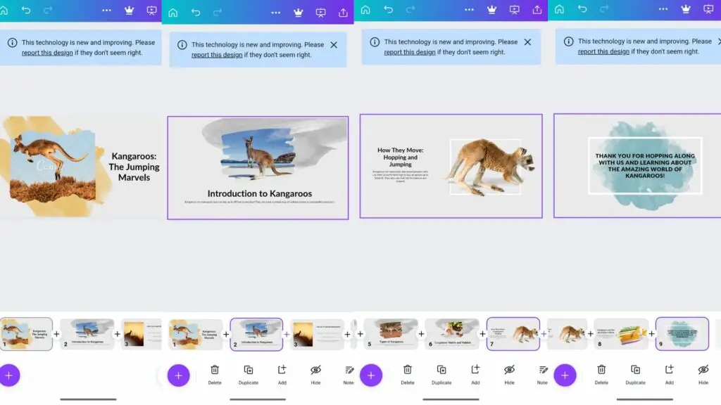 How Canva's Magic Design works: four screenshots from the AI-generated presentation about kangaroos.