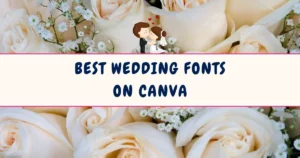 Best Wedding Fonts on Canva 2025