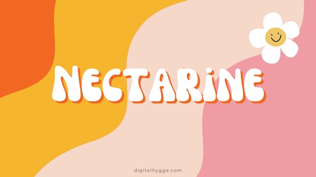 Canva Groovy Fonts - Nectarine