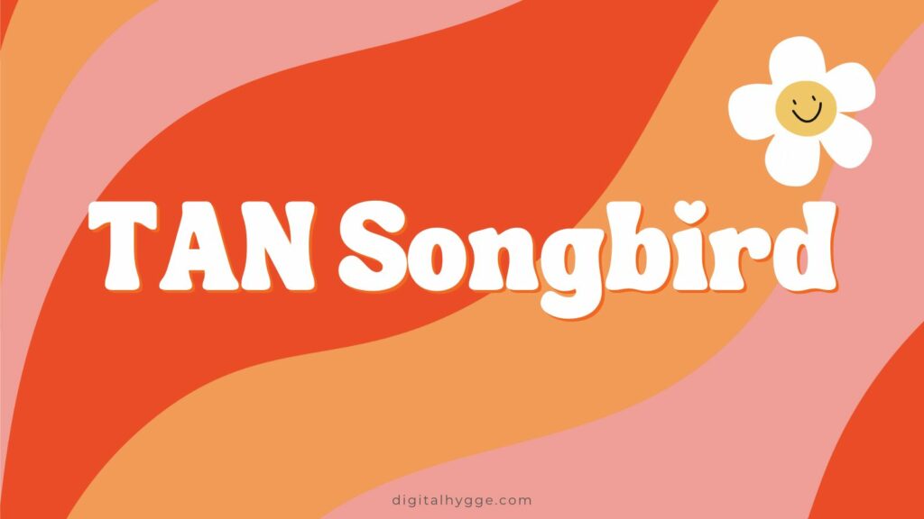 Groovy Canva Fonts - TAN Songbird