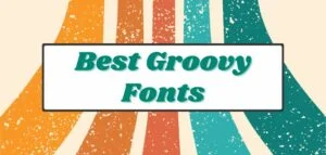 Best Groovy Fonts on Canva in 2025