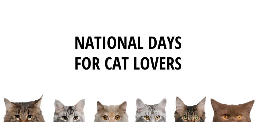 Complete List of National Days for Cat Lovers