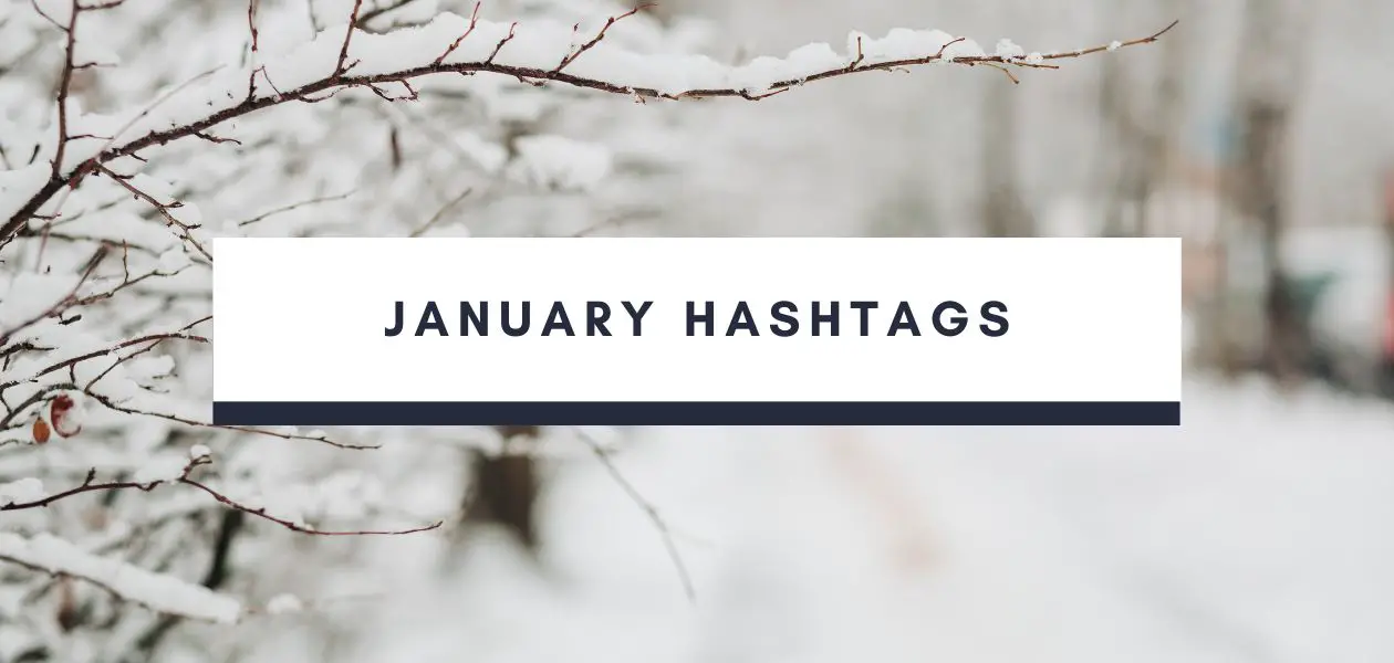 January Hashtags 2024