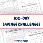 100 Day Savings Challenge