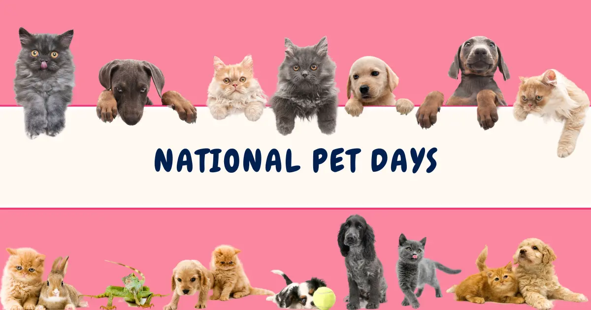 National Pet Days and Veterinary Awareness Days 2024