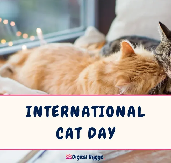 8 August is International Cat Day