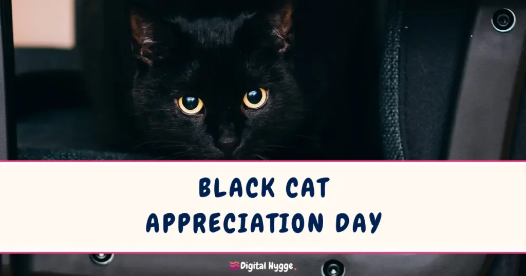 Black Cat Appreciation Day is celebrated annually on August 17th