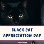 Black Cat Appreciation Day
