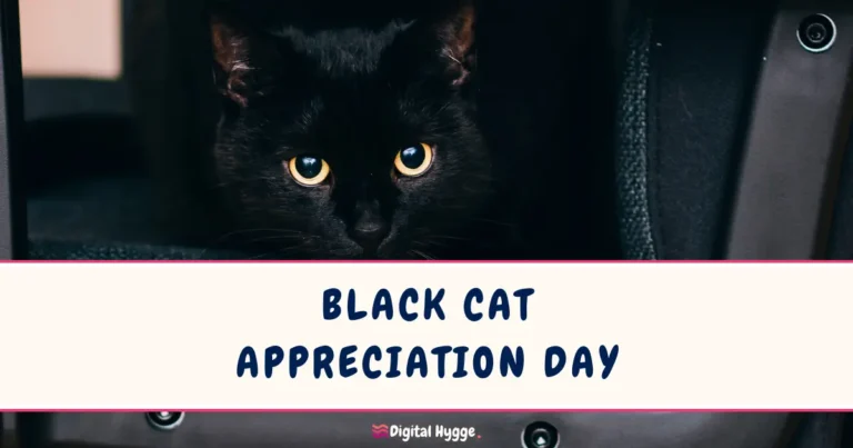 Black Cat Appreciation Day is celebrated annually on August 17th