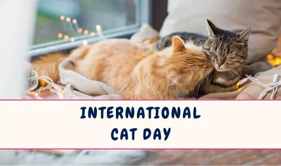 International Cat Day