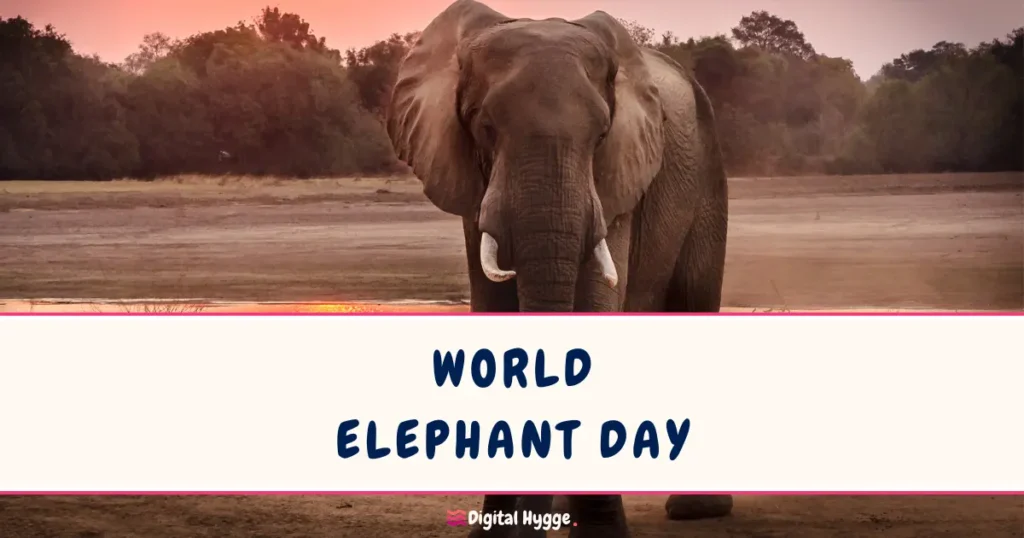 World Elephant Day is celebrated every year on August 12