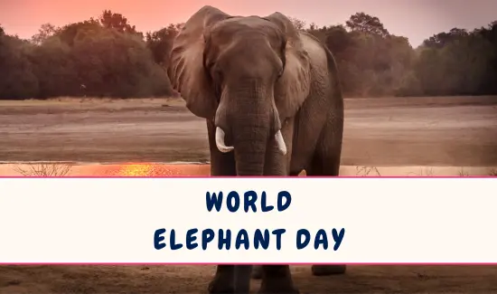 World Elephant Day