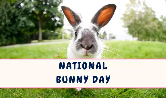 National Bunny Day