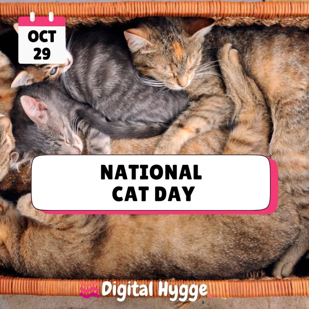 National Cat Day Celebrated on October 29