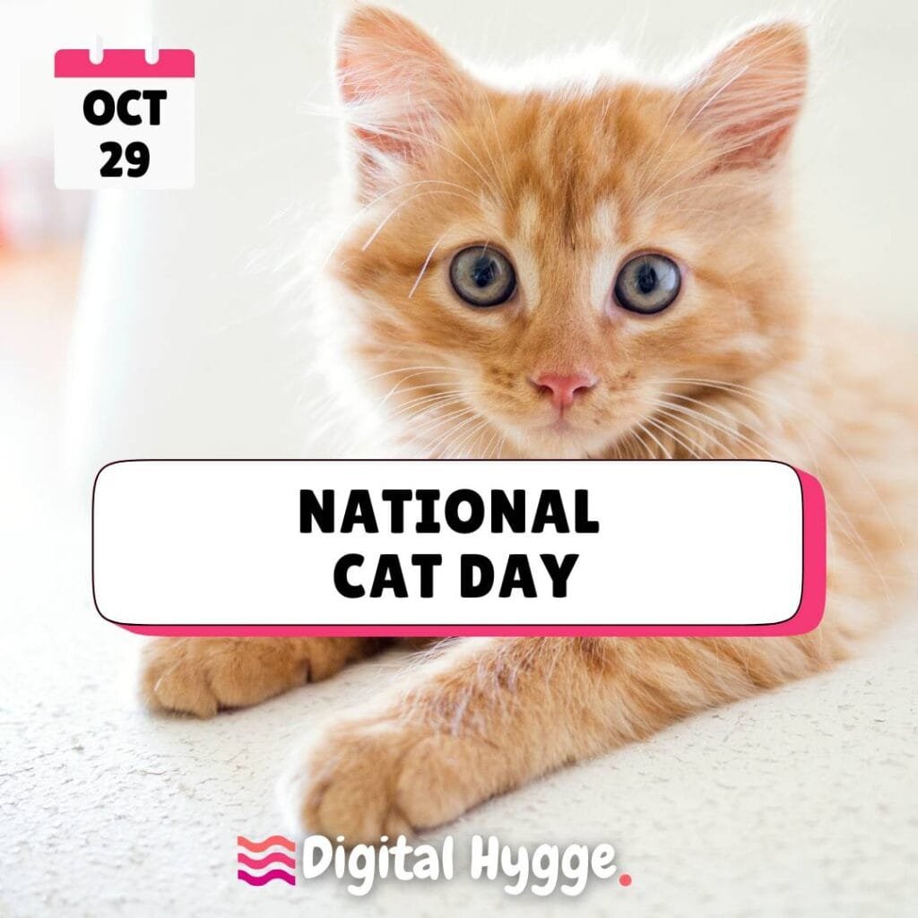 National Cat Day on October 29