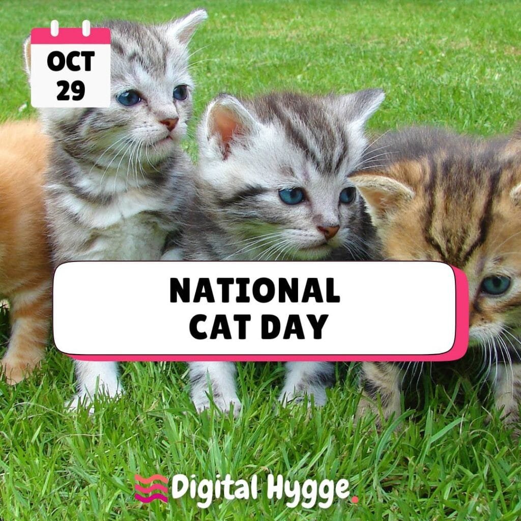National Cat Day on October 29th