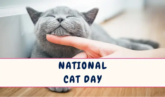 National Cat Day