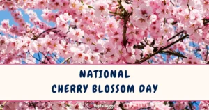 National Cherry Blossom Day