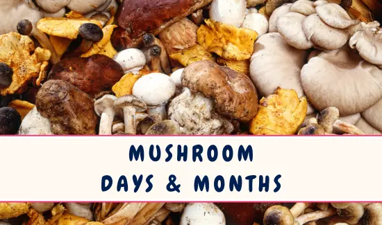 Mushroom Related National Days and Months