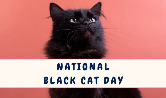 National Black Cat Day