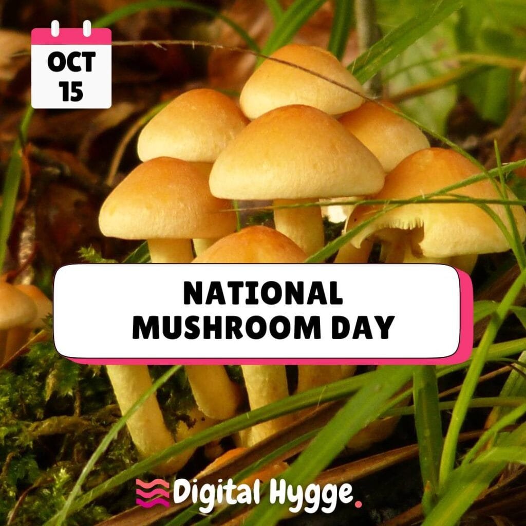 National Mushroom Day celebrated on October 15