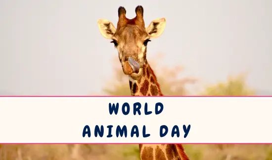World Animal Day