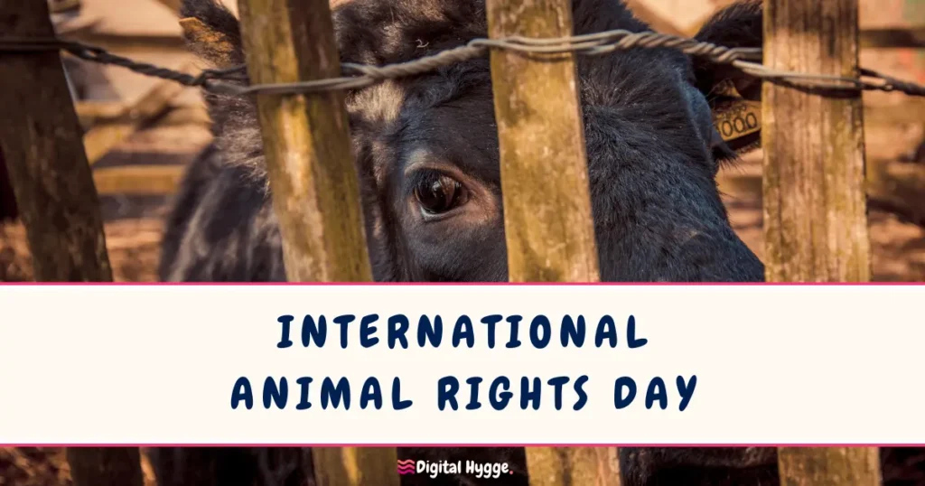 International Animal Rights Day December 10