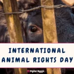 International Animal Rights Day