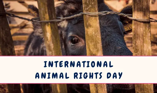 International Animal Rights Day