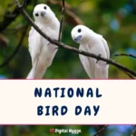 National Bird Day