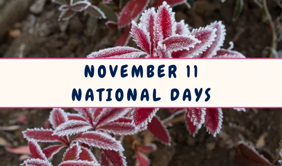 National Days on November 11