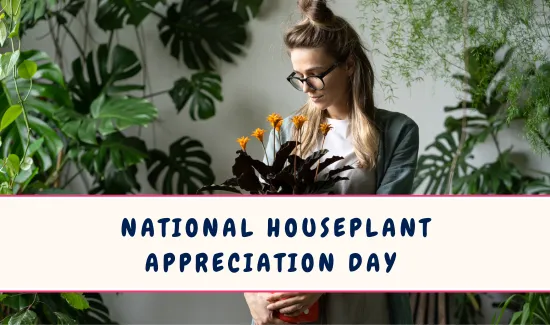 National Houseplant Appreciation Day