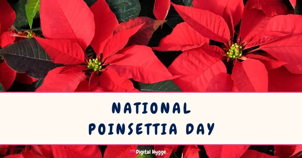 National Poinsettia Day December 12