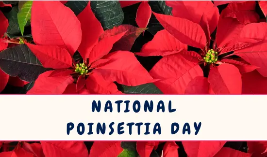 National Poinsettia Day