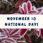 November 10 National Days