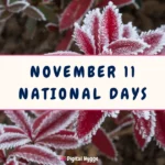 November 11 National Days