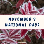 November 9 National Days