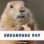 Groundhog Day