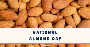 National Almond Day