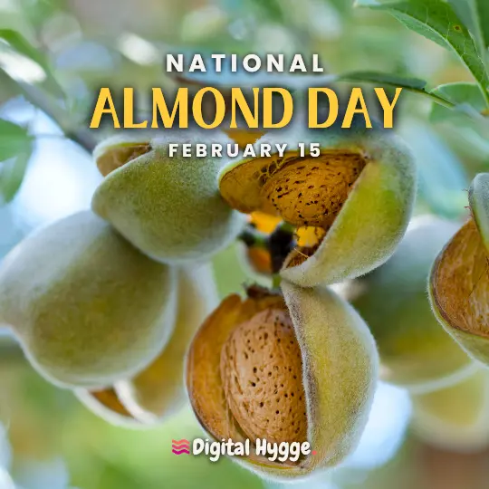 National Almond Day celebrated on February 15