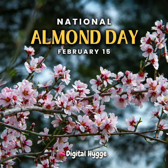 National Almond Day celebrated on February 15