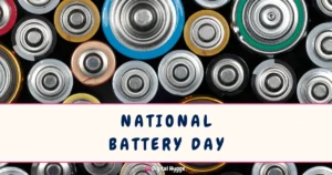 National Battery Day