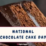 National Chocolate Cake Day