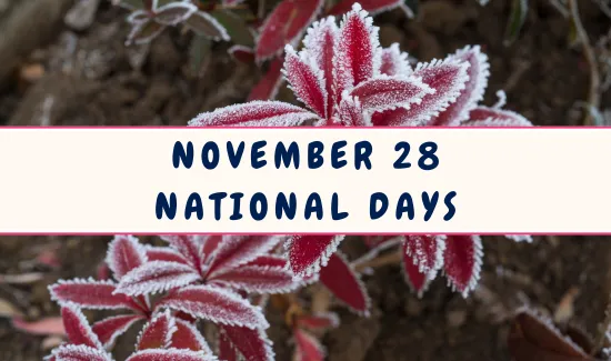 National Days on November 28